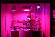 Led grow light Светодиодные светильники для растений