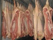 Мясо (свинина,  говядина) от производителя